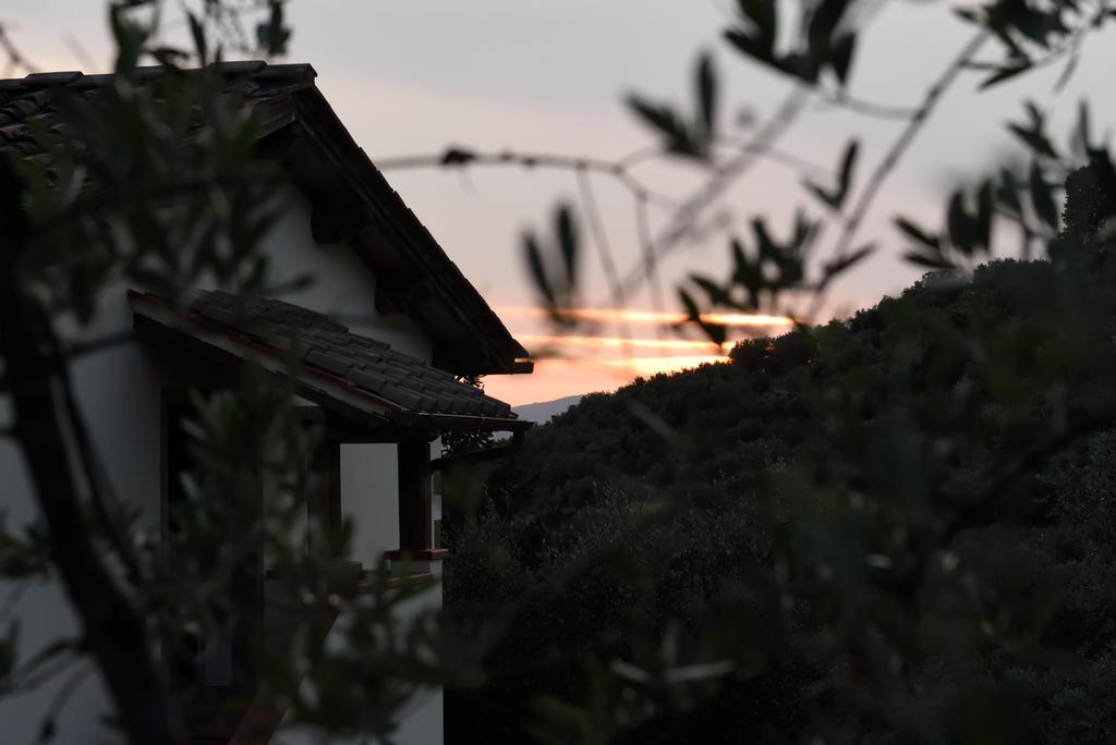 Agriturismo La Casuccia Castelfranco di Sopra Экстерьер фото