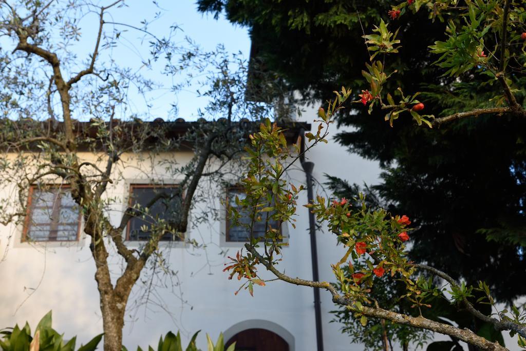 Agriturismo La Casuccia Castelfranco di Sopra Экстерьер фото
