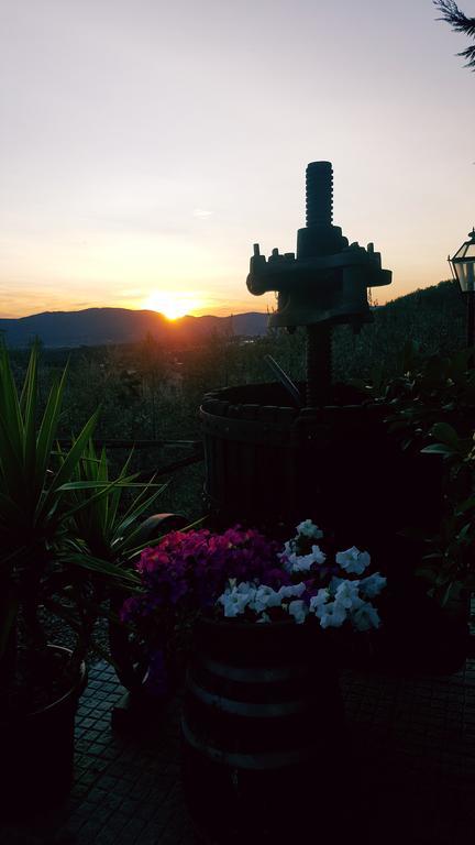 Agriturismo La Casuccia Castelfranco di Sopra Экстерьер фото